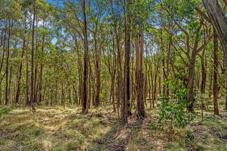 Fifth view of Homely land listing, 92 Acacia Avenue, Dales Creek VIC 3341