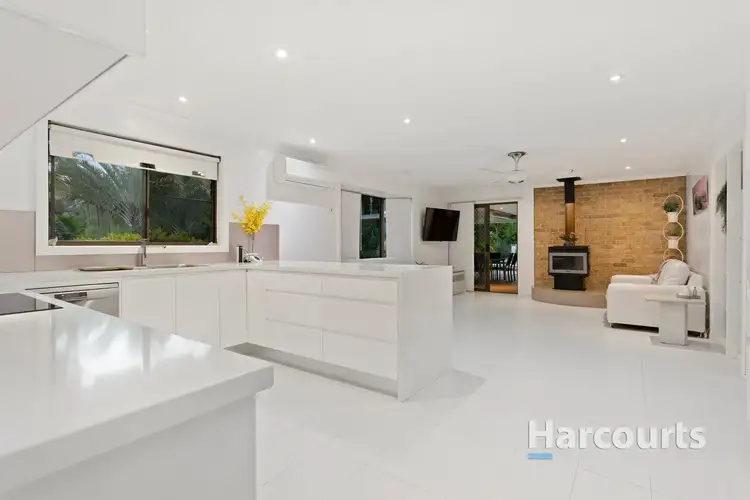 Third view of Homely rural property listing, 36 Grey Gum Crescent, Chisholm NSW 2322