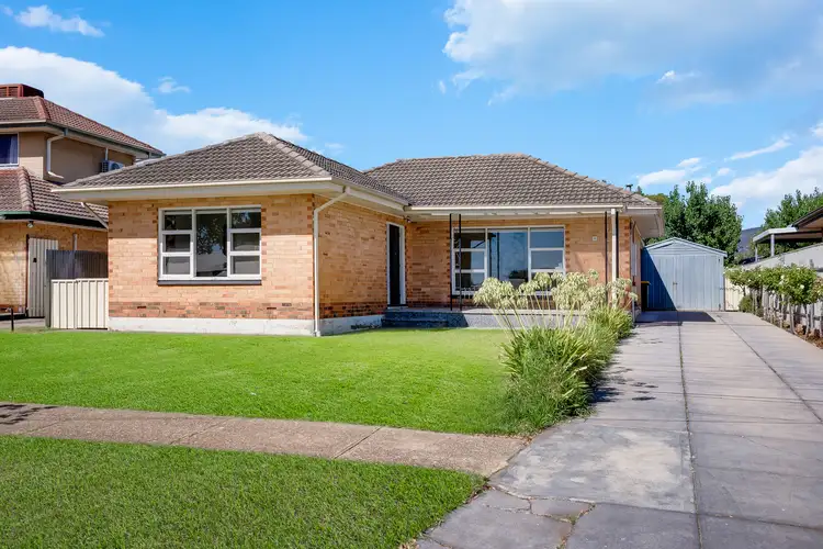51 Acacia Avenue North, Campbelltown SA 5074