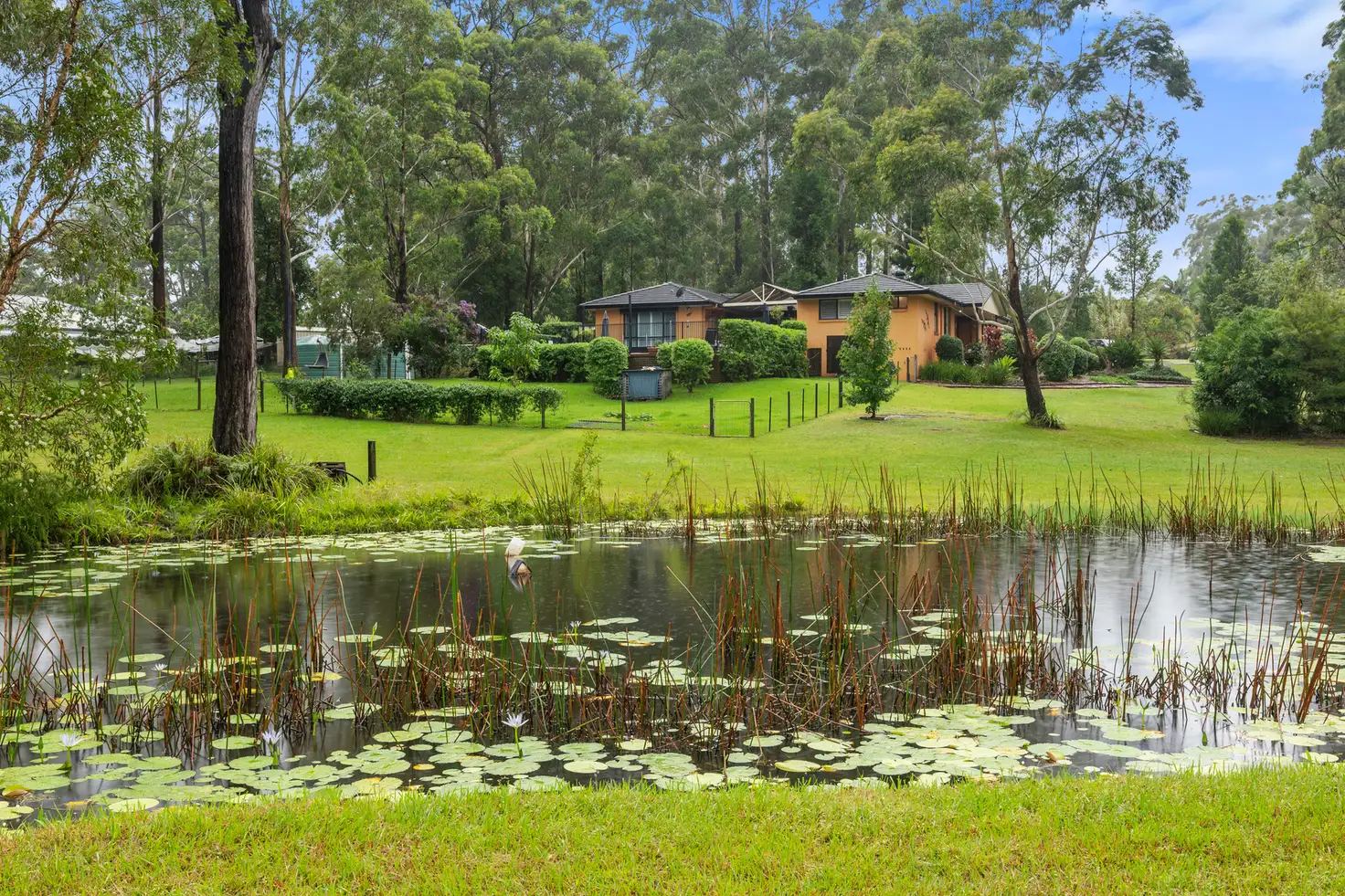 Main view of Homely house listing, 51 Pinehyrst Drive, Moonee Beach NSW 2450