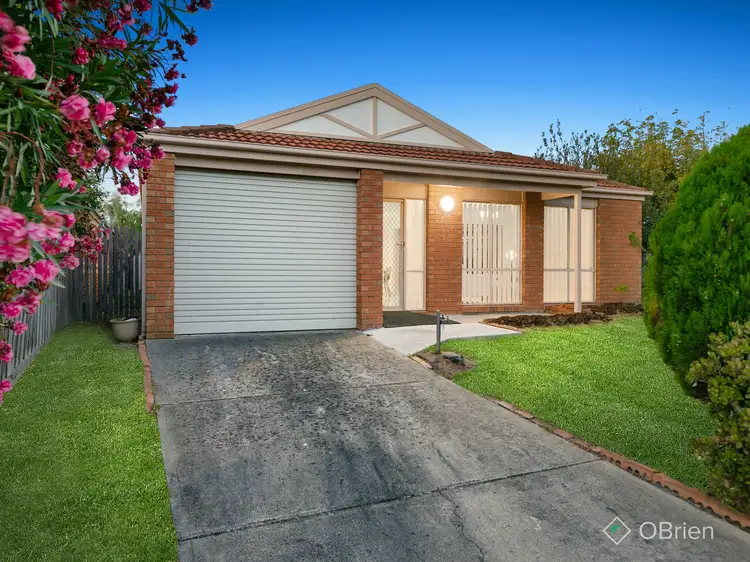 19 Dotterel Court, Chelsea Heights VIC 3196
