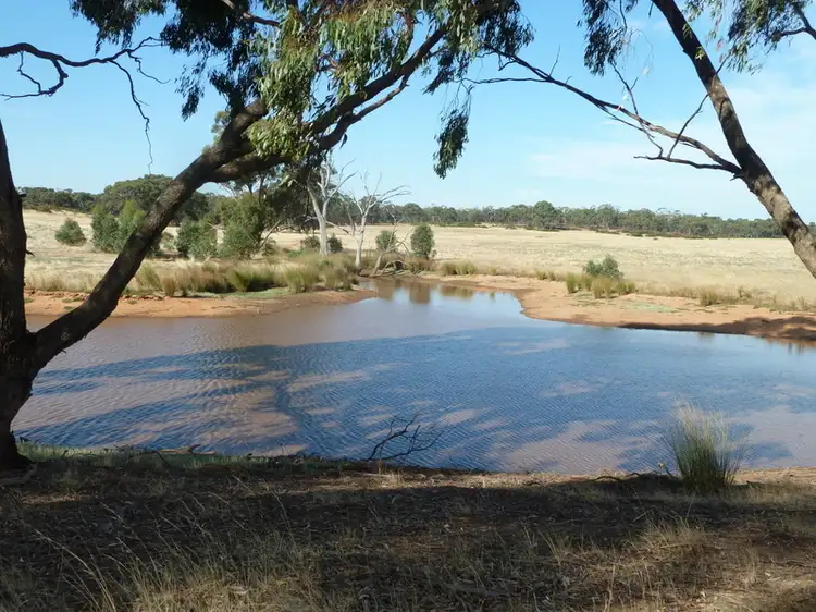 Main view of Homely rural property listing, CA26,27,28 Wedderburn-Wychitella Road, Wedderburn VIC 3518
