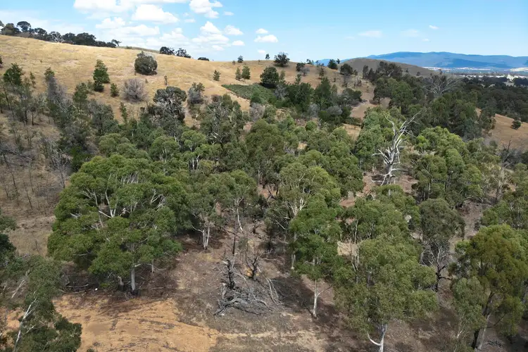 Sixth view of Homely rural property listing, 326 Nowhere Creek Road, Nowhere Creek VIC 3469