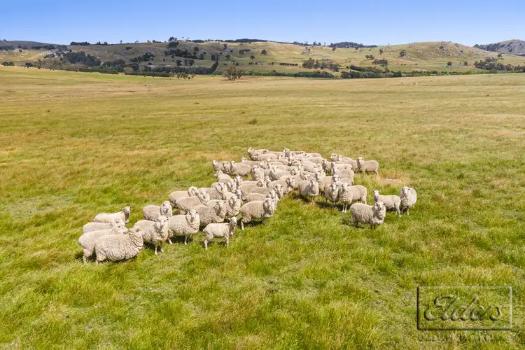 Lot 1 Lancefield-Tooborac Road, Tooborac VIC 3522