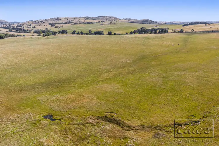 Fifth view of Homely rural property listing, Lot 1 Lancefield-Tooborac Road, Tooborac VIC 3522