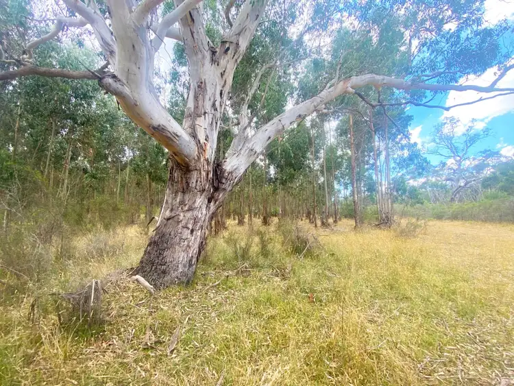 Fifth view of Homely rural property listing, CA10A Woodacres Road, Chetwynd VIC 3312