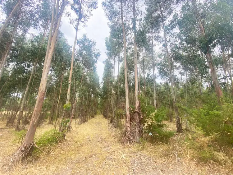 Sixth view of Homely rural property listing, CA10A Woodacres Road, Chetwynd VIC 3312