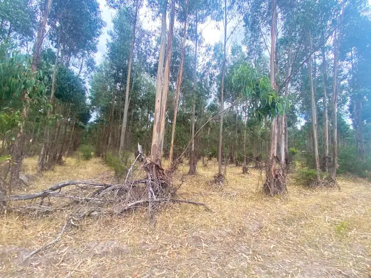 Seventh view of Homely rural property listing, CA10A Woodacres Road, Chetwynd VIC 3312