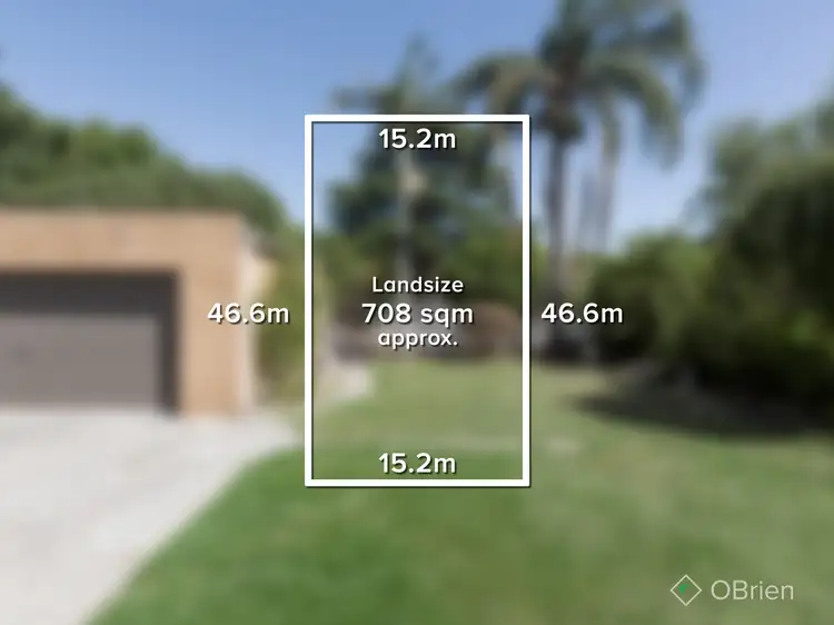 Second view of Homely house listing, 19 Moonda Grove, Cheltenham VIC 3192