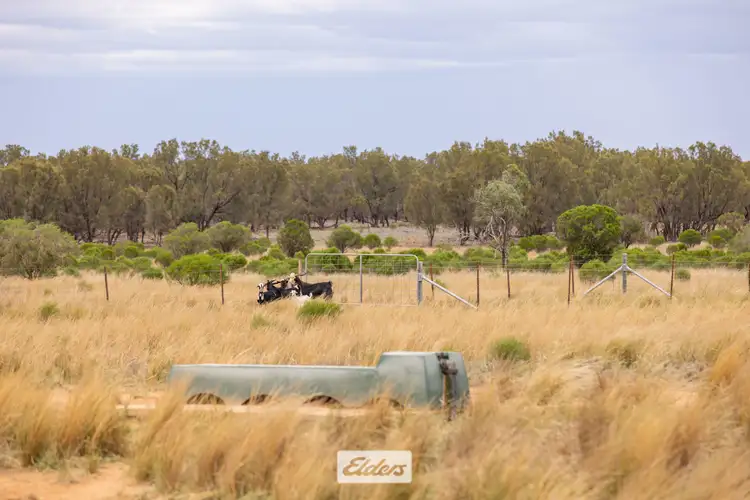 Third view of Homely rural property listing, 2001 Dockerty Road, Pooncarie NSW 2648