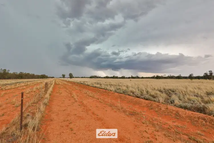 Fifth view of Homely rural property listing, 2001 Dockerty Road, Pooncarie NSW 2648