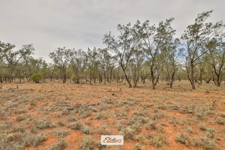 Sixth view of Homely rural property listing, 2001 Dockerty Road, Pooncarie NSW 2648