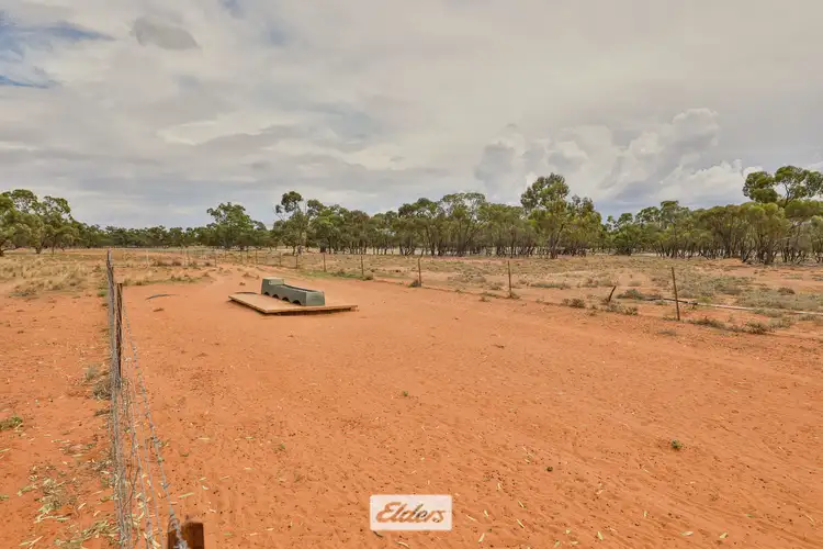 Seventh view of Homely rural property listing, 2001 Dockerty Road, Pooncarie NSW 2648