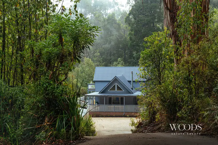 Main view of Homely rural property listing, 890 Beenak East Road, Gembrook VIC 3783