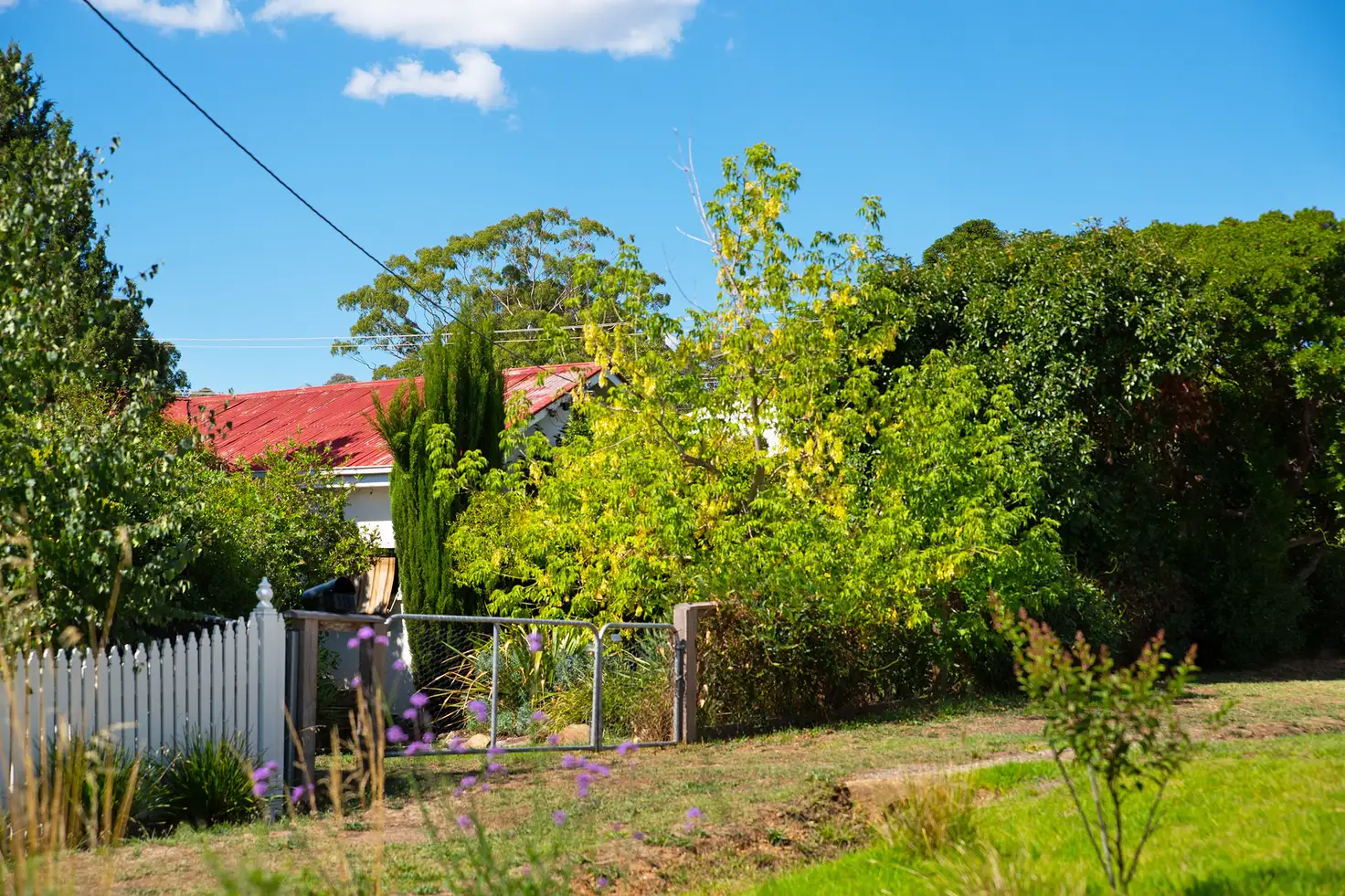 Main view of Homely house listing, 13 Wimble Street, Castlemaine VIC 3450