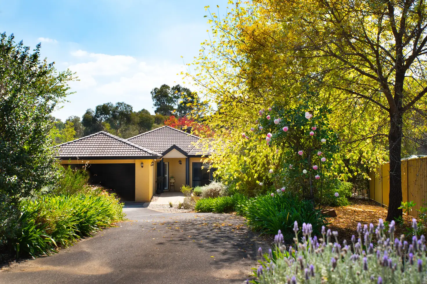 Main view of Homely house listing, 11 Eleanor Drive, Campbells Creek VIC 3451