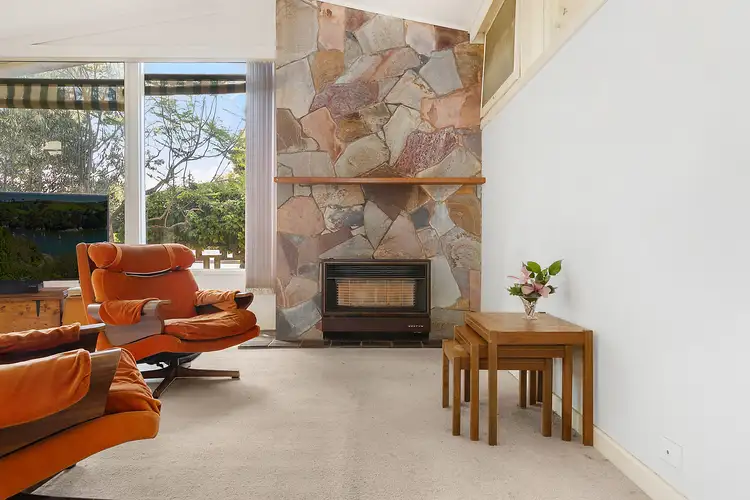 Main view of Homely house listing, 51 Pavo Street, Belmont VIC 3216