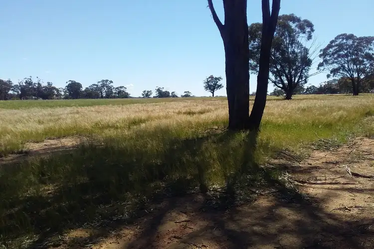 Second view of Homely rural property listing, 6742 Wimmera Highway, Logan VIC 3475