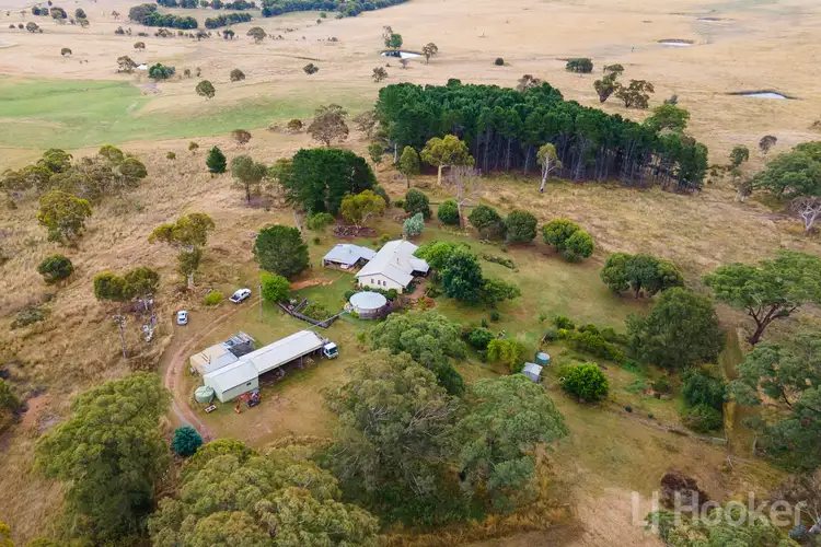 Main view of Homely rural property listing, 155 Sugarloaf Ridge Road, Primrose Valley NSW 2621