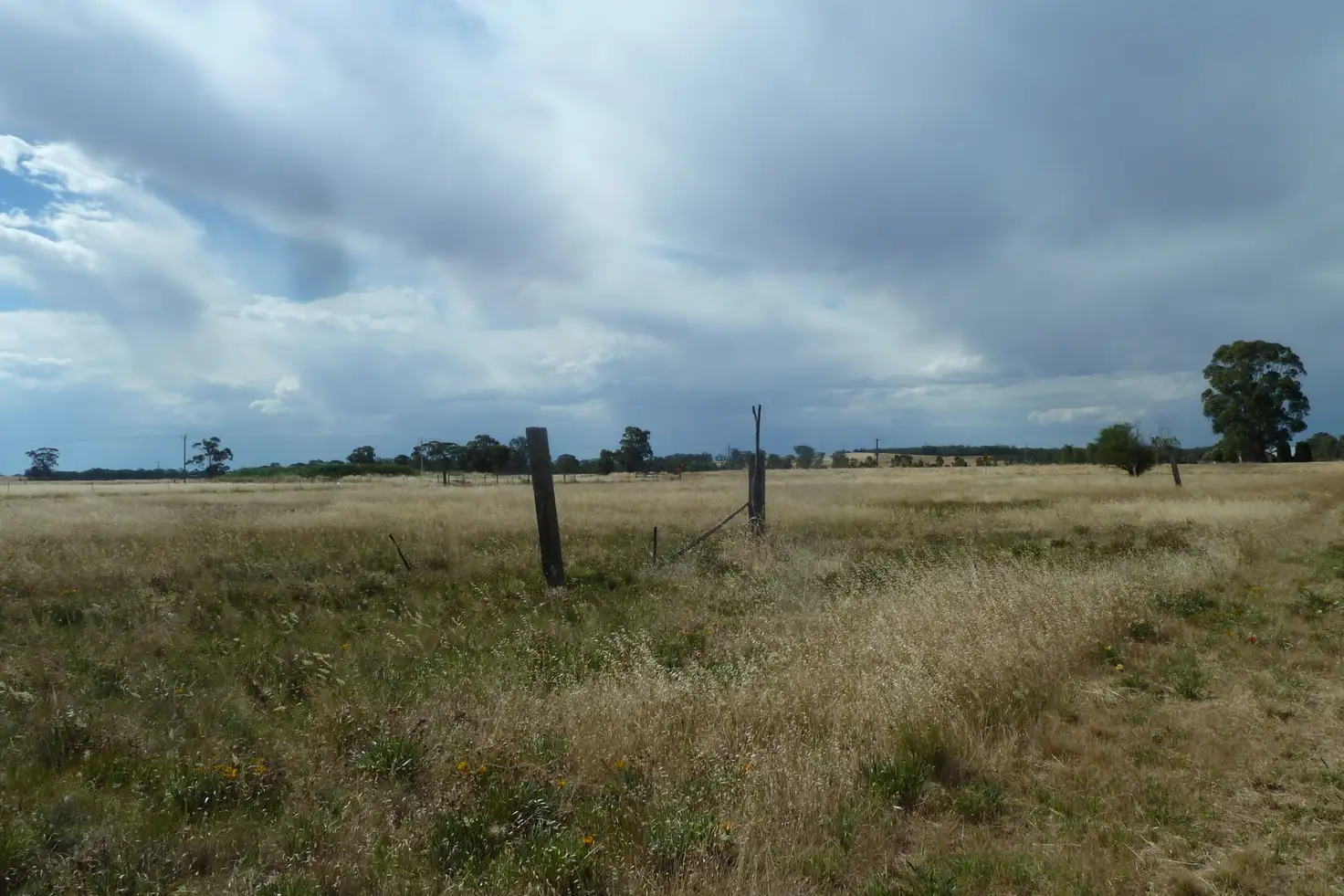 Main view of Homely rural property listing, 13 Gunya Flat Road, Charlton VIC 3525