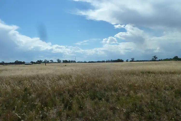 Fifth view of Homely rural property listing, 13 Gunya Flat Road, Charlton VIC 3525