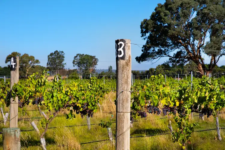 Third view of Homely land listing, CA20 Olivers Lane West, Elphinstone VIC 3448
