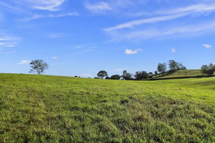 Fourth view of Homely land listing, 349 Federal Drive, Federal NSW 2480