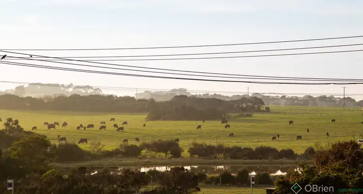 Sixth view of Homely house listing, 1A Dunvegan Crescent, Surf Beach VIC 3922