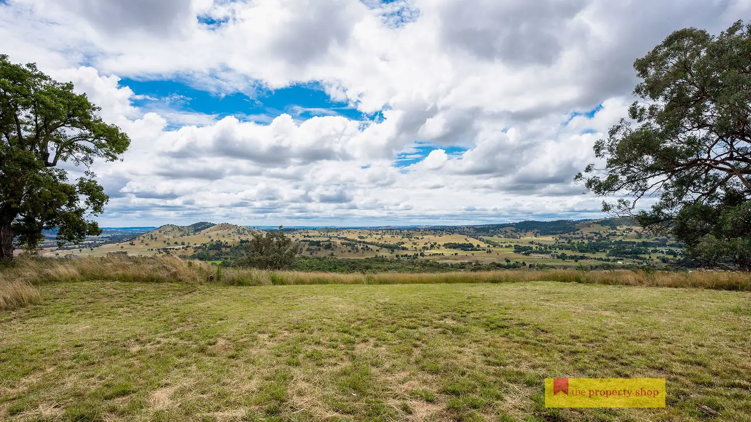 Main view of Homely rural property listing, 149 Kaludabah Road, Mudgee NSW 2850