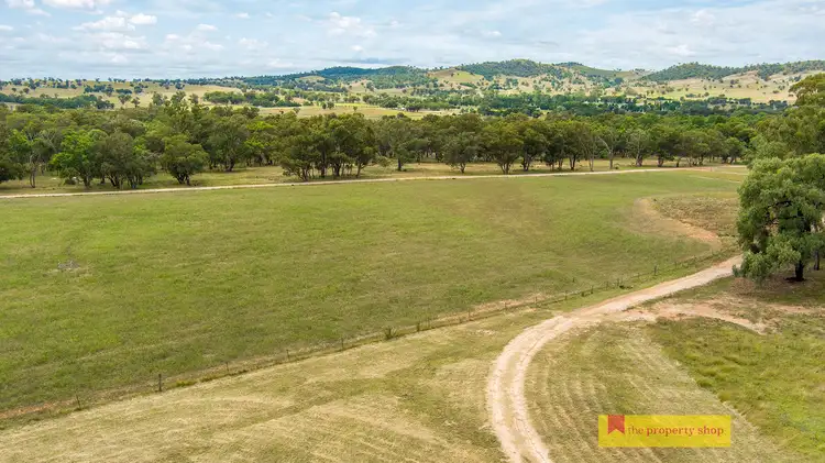Fifth view of Homely rural property listing, 149 Kaludabah Road, Mudgee NSW 2850