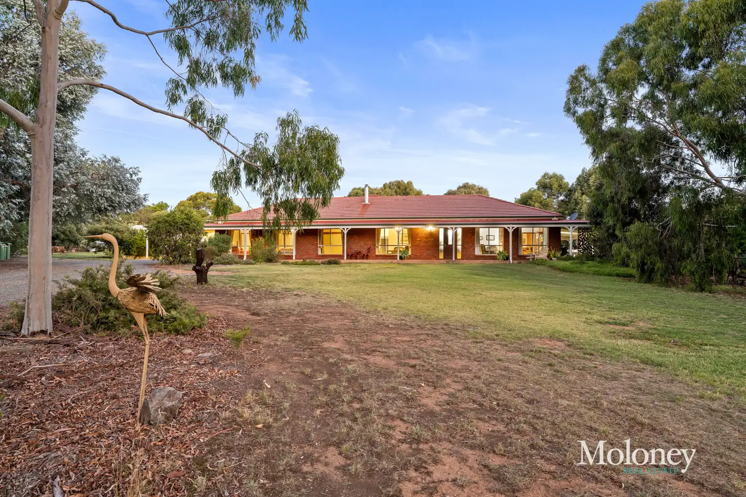 Main view of Homely house listing, 11 Greybox Court, Rutherglen VIC 3685