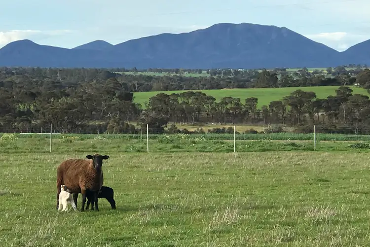 Main view of Homely land listing, Cnr Fenton Heights & Williams Road, Kendenup WA 6323