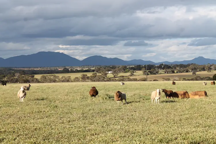 Second view of Homely land listing, Cnr Fenton Heights & Williams Road, Kendenup WA 6323