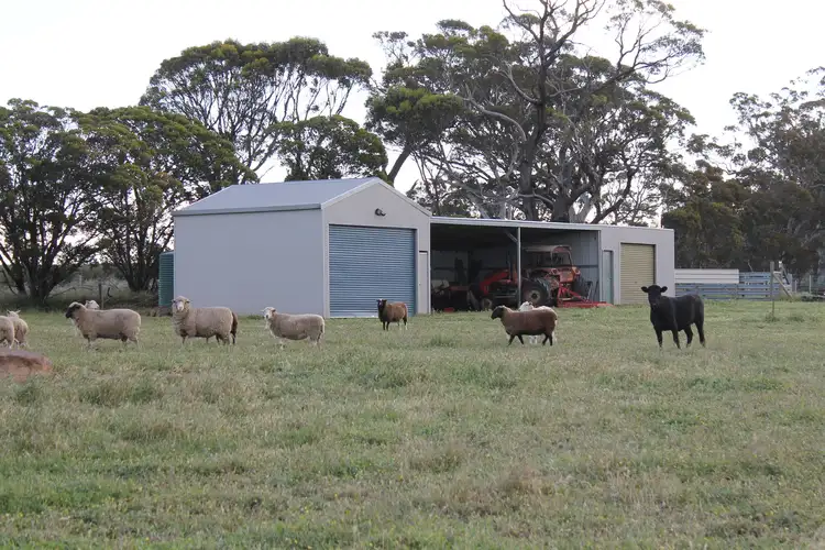 Fifth view of Homely land listing, Cnr Fenton Heights & Williams Road, Kendenup WA 6323