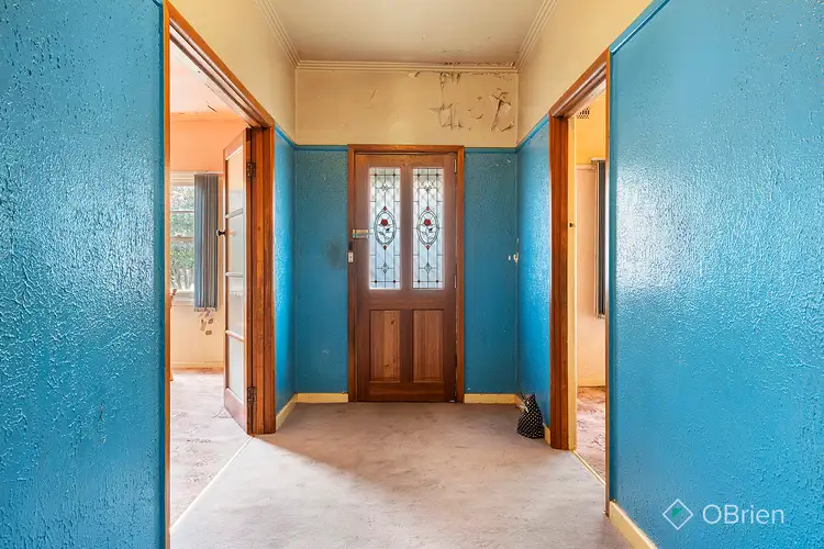 Fourth view of Homely house listing, 12 Springfield Avenue, Clayton South VIC 3169