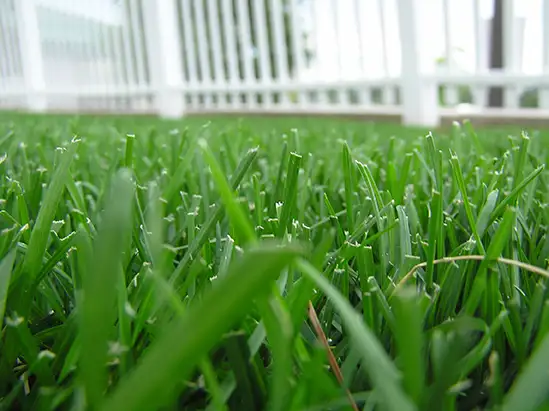 Main view of Homely land listing, 79 Boswell Terrace Terrace, Manly QLD 4179