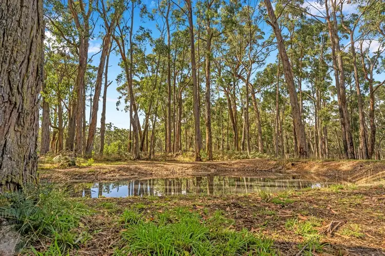 Seventh view of Homely land listing, 205 Calway Lane, Gordon VIC 3345