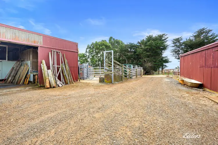 Fourth view of Homely rural property listing, 592 Murchison Highway, Elliott TAS 7325