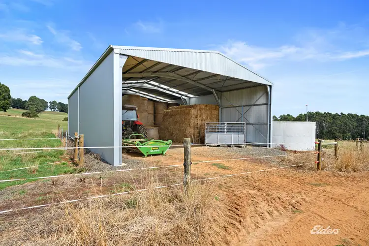 Fifth view of Homely rural property listing, 592 Murchison Highway, Elliott TAS 7325