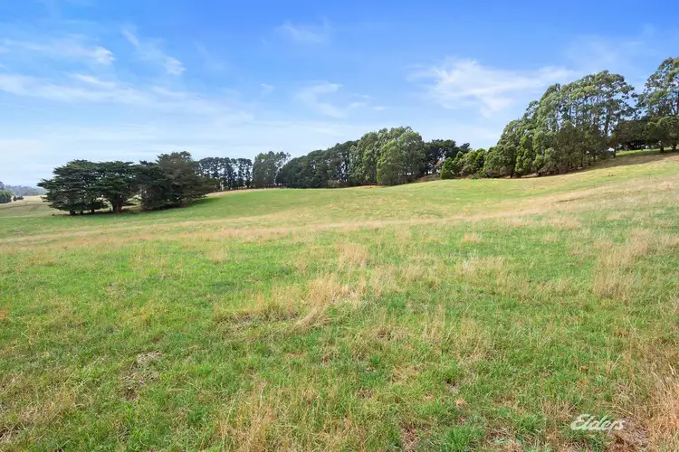 Sixth view of Homely rural property listing, 592 Murchison Highway, Elliott TAS 7325