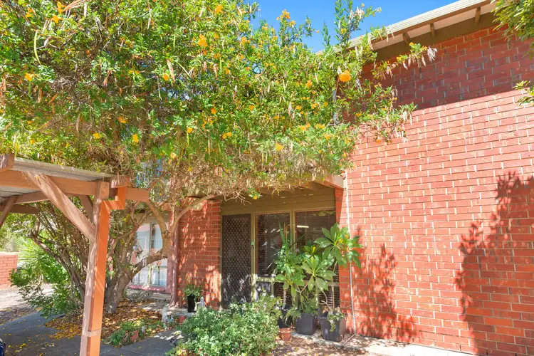 19/22 Cohen Court, Clovelly Park SA 5042
