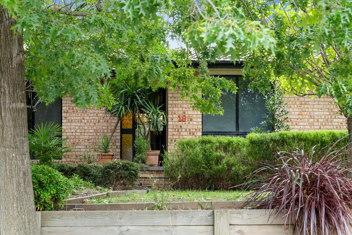 Main view of Homely house listing, 19 Bannerman Place, Holt ACT 2615