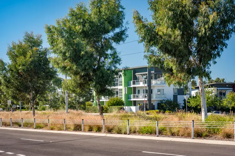 Second view of Homely apartment listing, 5/329 Flemington Road, Franklin ACT 2913