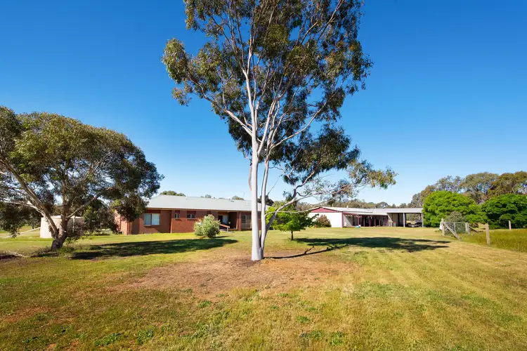 Second view of Homely house listing, 95 Springvale Road, Lockwood South VIC 3551