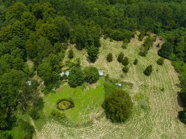 Fifth view of Homely rural property listing, 1 Betterridge Road, Nimbin NSW 2480