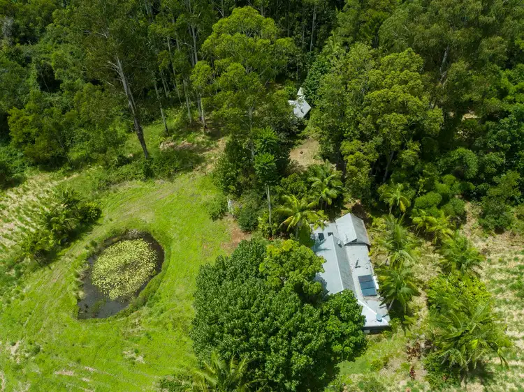 Seventh view of Homely rural property listing, 1 Betterridge Road, Nimbin NSW 2480