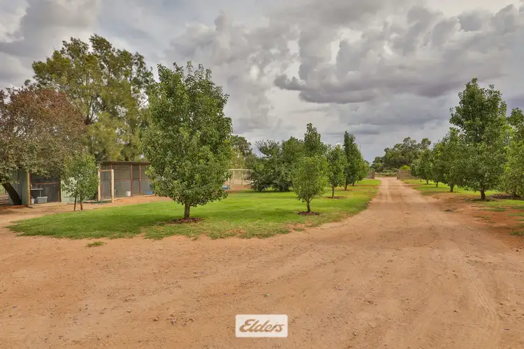 Third view of Homely house listing, 7 Drovers Drive, Gol Gol NSW 2738