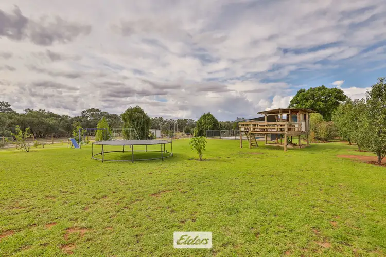 Seventh view of Homely house listing, 7 Drovers Drive, Gol Gol NSW 2738
