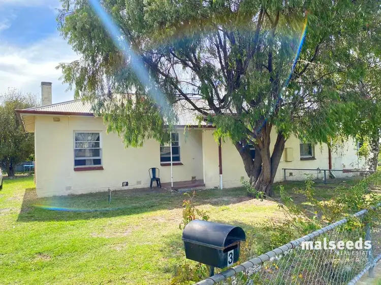 Main view of Homely semi-detached listing, 1 & 3 Cassells Street, Millicent SA 5280
