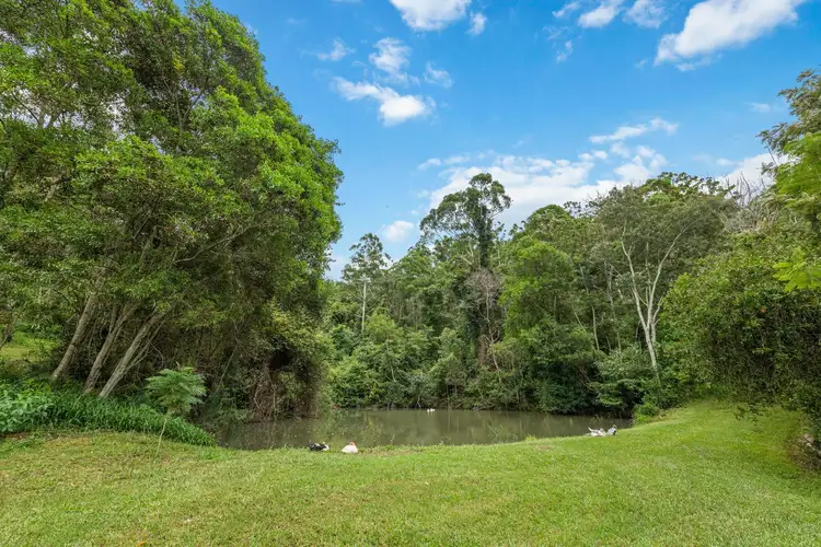 Sixth view of Homely rural property listing, 84 Isaacs Lane, Johns River NSW 2443